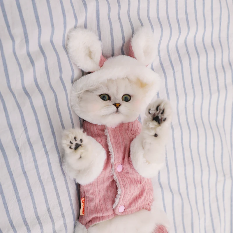 Теплая одежда для кошек HOOPET, зимняя куртка для питомцев, щенков, котят, куртка для маленьких и средних собак, кошек, чихуахуа, одежда, костюм