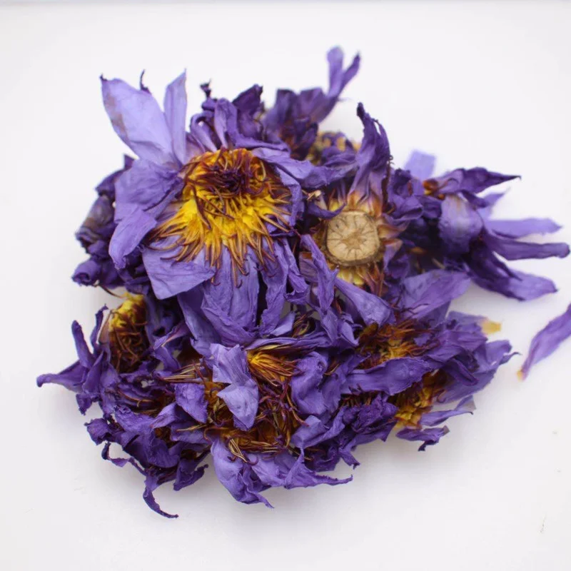

Сушеный Египетский цветок синего лотоса Nymphaeaceae Caerulea Herbal