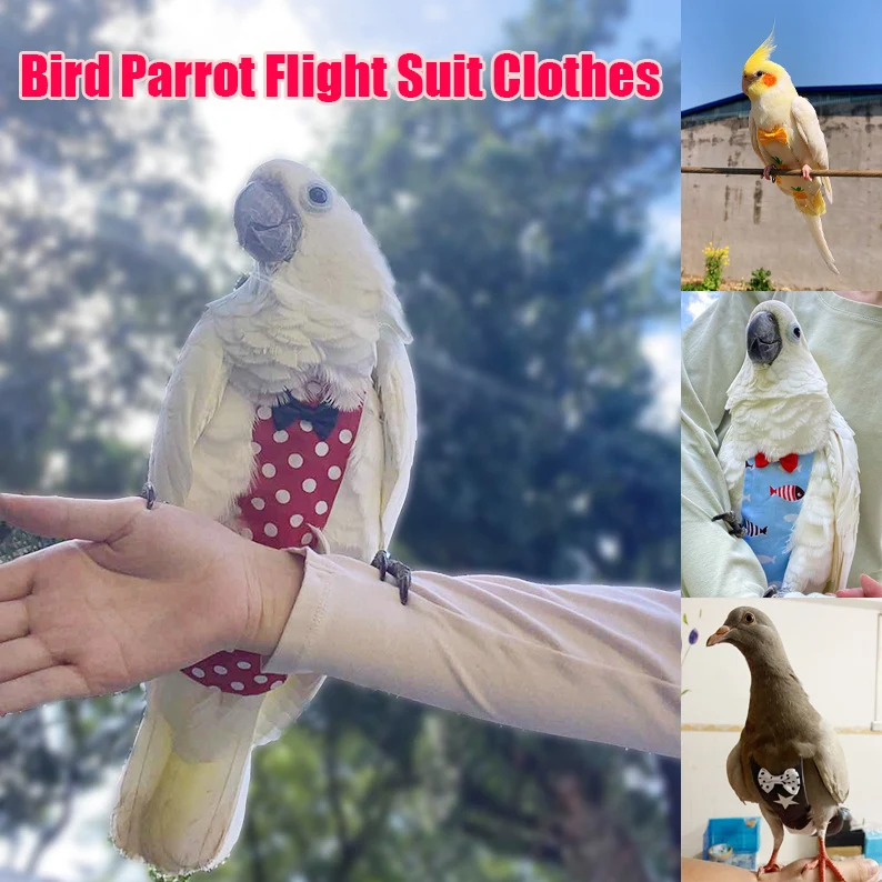 Подгузник для птиц и попугаев подгузник таратиков голубей костюм полета одежда