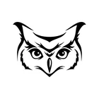 Наклейка на бампер из ПВХ, водостойкая, 13 х10 см