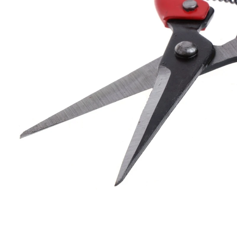 

Garden Plant Pruning Shears Cutter Gardening Tools Bonsai Grass Flower Scissors Secator Grafting Pruning Pruning New Hand Tool