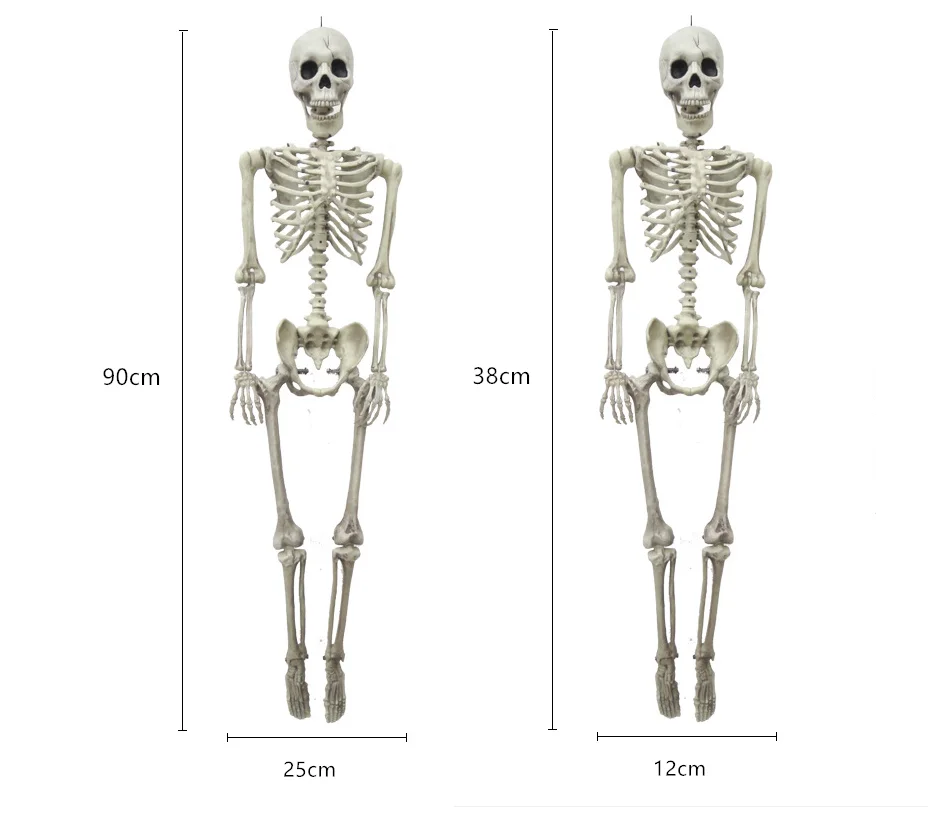 36 дюймов товары для Хэллоуина Скелет Полный Размеры черепа ручной работы