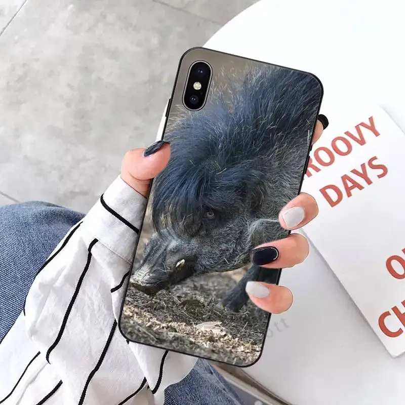 

wild boar cute animal high quality luxury Phone Case shell for iPhone 11 12 pro XS MAX 8 7 6 6S Plus X 5S SE 2020 XR