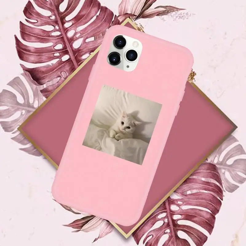 

Cute animal cat art design Phone Case Candy Color for iPhone 6 7 8 11 12 s mini pro X XS XR MAX Plus