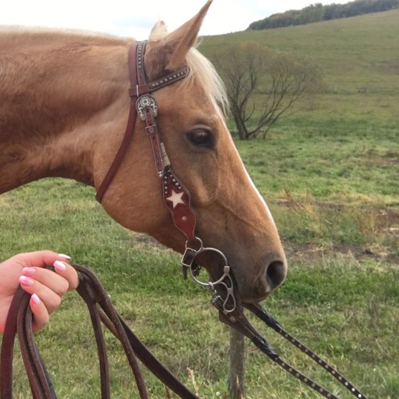 Нержавеющая сталь бит лошадь 125/135 мм Cavalo уход протектор Paarden мундштук Конный Трензель удила Верховая езда оборудование