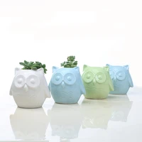 cute cartoon animal owl shaped ceramic cactus succulent flower plant pots planter with bamboo tray holder for home office decor