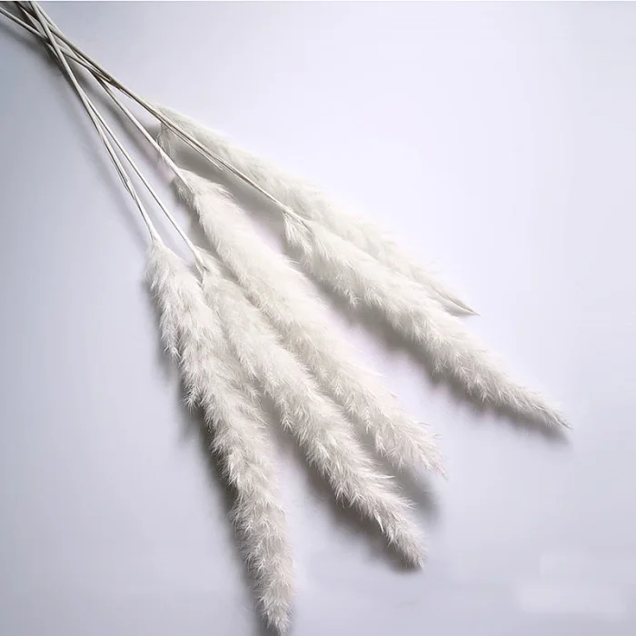 15 шт. Bulrush засушенный натуральный маленький пампасная трава Phragmites коммунис свадебный цветок букет для домашнего декора 6 цветов