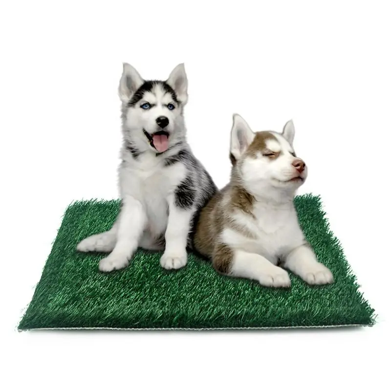 

Pet Artificial Grass Mat Dog Area Landscape Lawn Toilet Synthetic Turf Cat Puppy Potty Training Pad Supplies