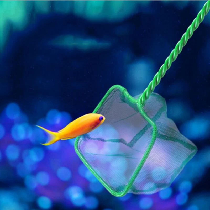 

1pcs Green Aquarium Fish Tank Square Shrimp Small Betta Tetra Fish Net 3" 5" 6" 3 Sizes