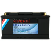 12v 24v 40 60 80 100 120 160 200 240 320ah lifepo4 lithium iron phosphate battery with bms for golf cart ev rv solar energy