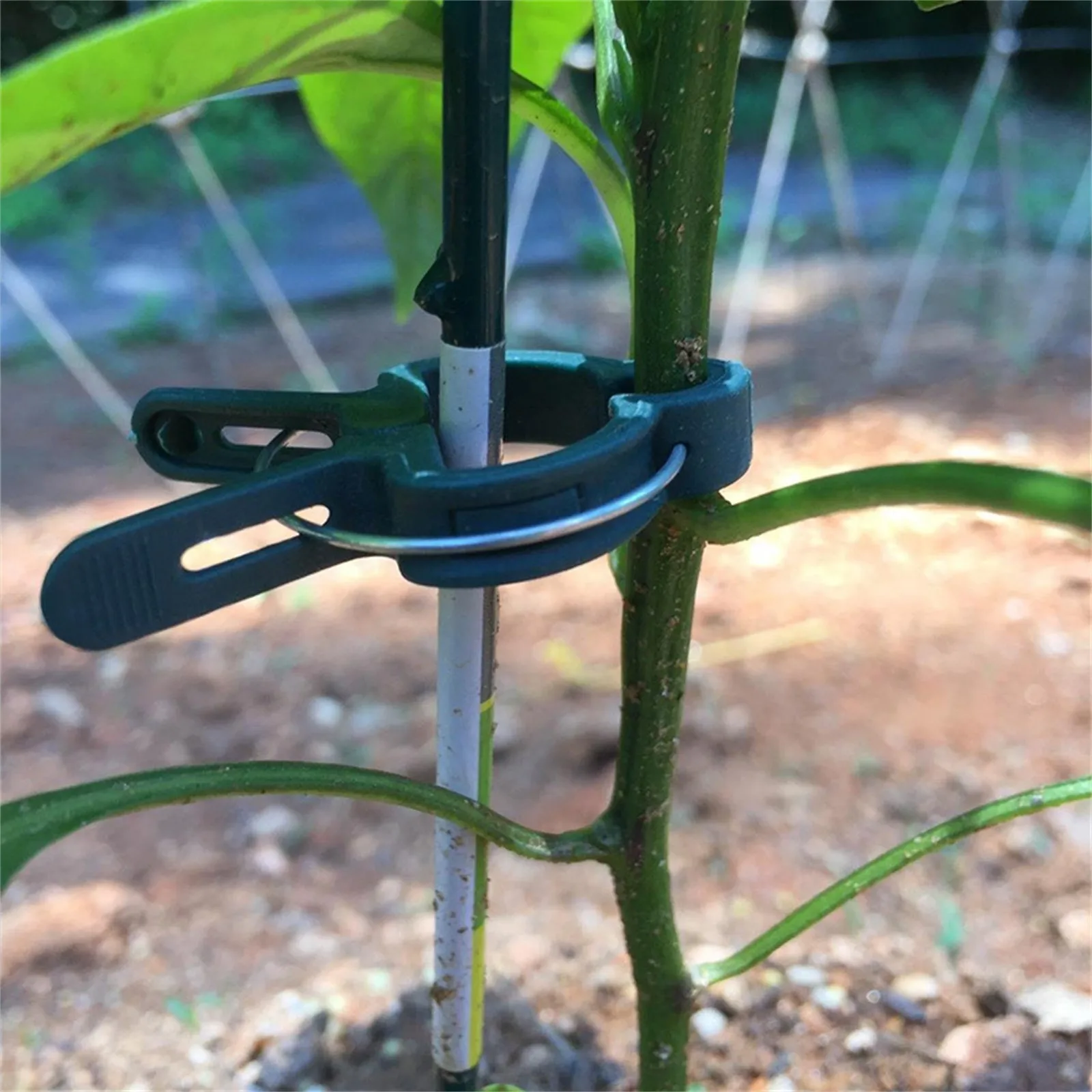 

Plastic Plants Fixing Clip Ties Garden Potted Branches Vine Supports Tool Reusable Protection Grafting Fixing Tool Garden Supply