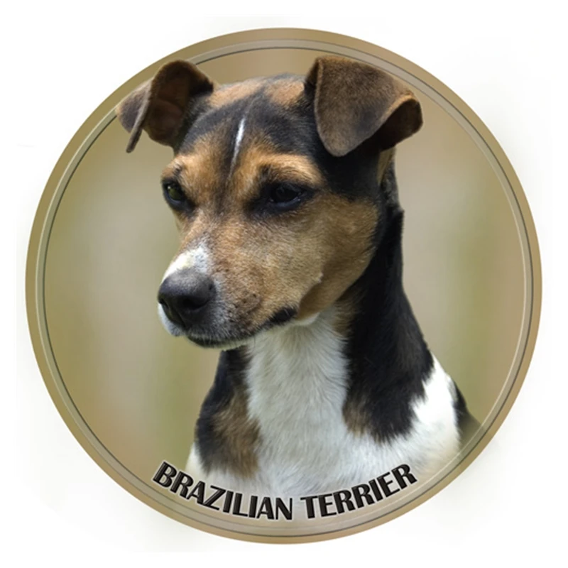 

S40319# Various Sizes PVC Decal Brazilian Terrier Car Sticker Waterproof For Bumper Rear Window Laptop Refrigerator Toilet