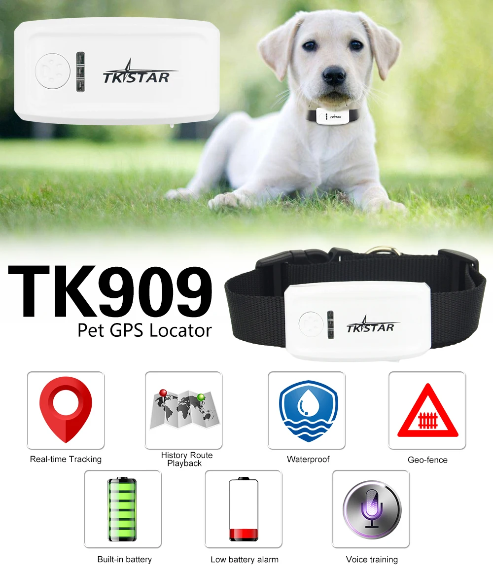 Best TKstar TK909 Pet GPS Tracker Global Mini GPRS GSM Support Google Maps Link Free APP Realtime Tracking | Автомобили и