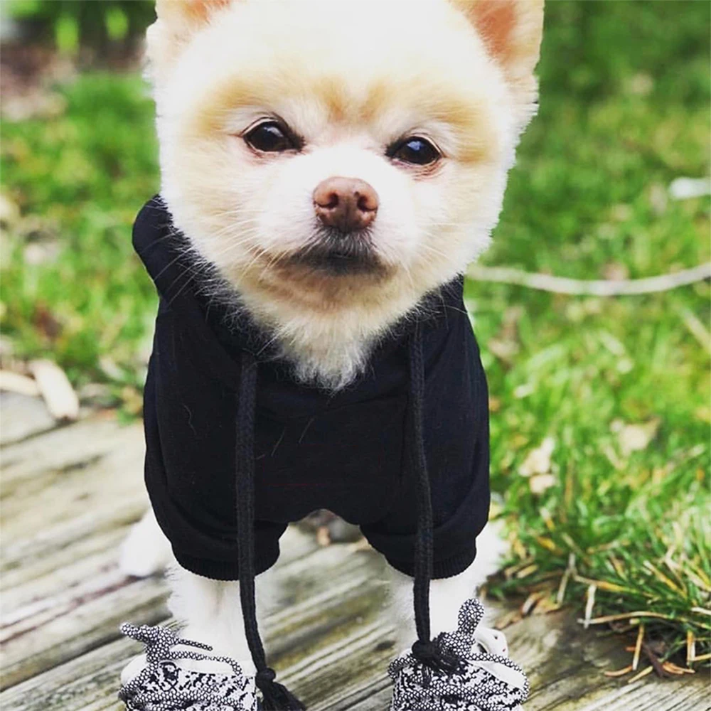 Хлопковые весенние толстовки шнауцера классические с капюшоном в виде пуделя