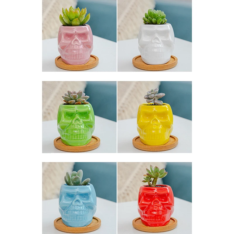 

6 Color Skull Flower Pot Ceramic Succulent Gardening Desktop Thumb Flower Pot Breathable Not Easy to Deform ADW889