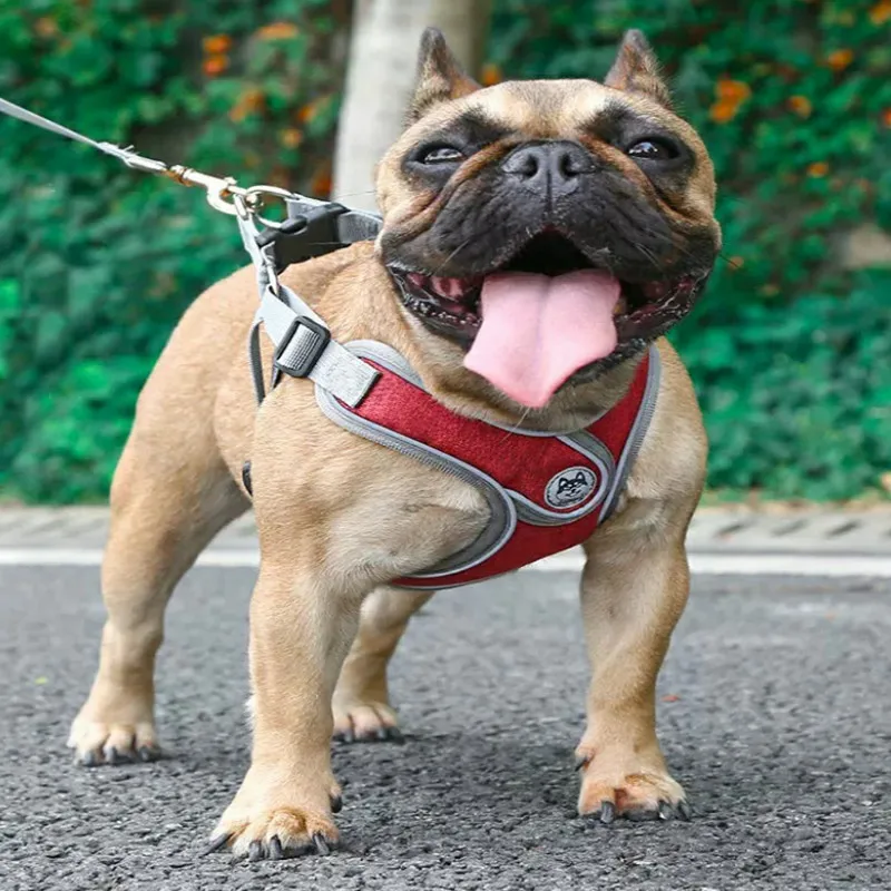 Шлейка поводок для собак нейлоновая сетчатая дышащая регулируемая