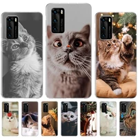 cute cat animal soft tpu bumper case for huawei honor 10 lite 8x 9x 20s 30s 50 pro mate 20 30 40 pro protect phone cover
