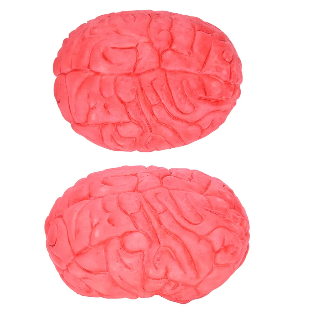 

Prop Rubber Horror Fake Scary Human Brain Haunted House Organ Body Part Halloween Decoration Horror Prop Decor Gag Toys