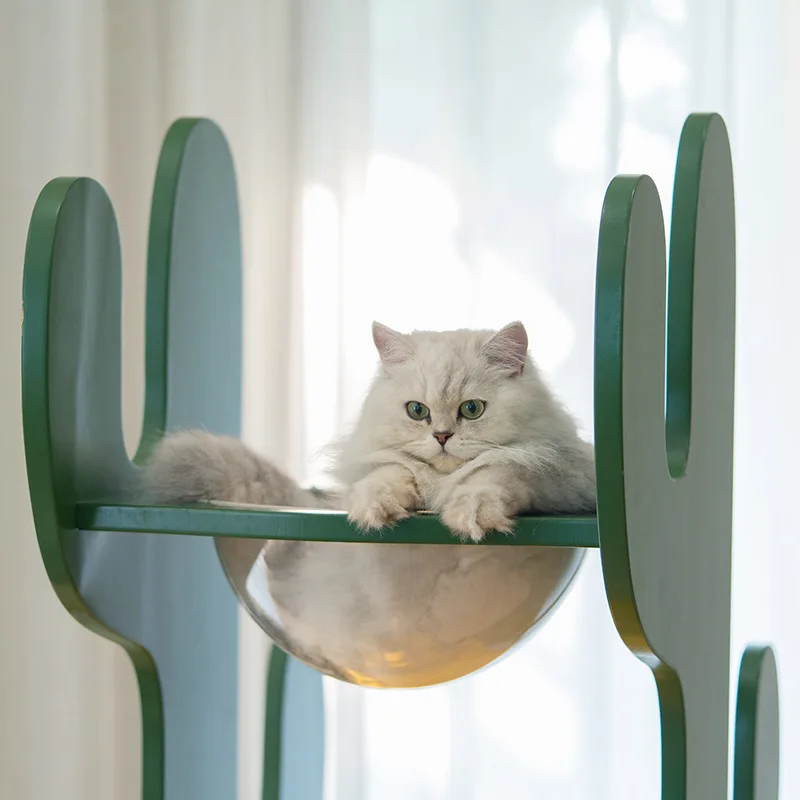 Рамка для лазания домашних животных кошек кактусов полка космическая капсула с