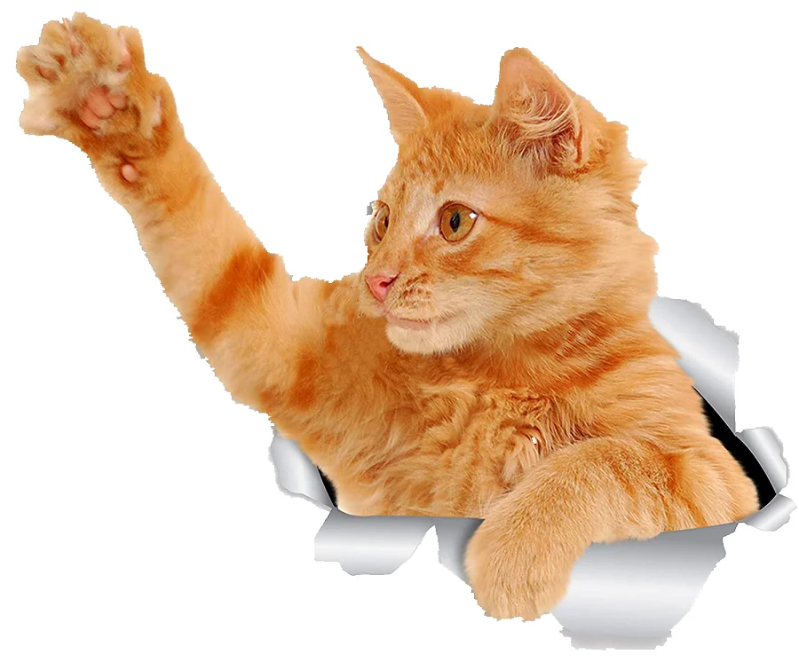 

Cute 3D Cat Stickers Hole View Vivid Cat PVC Car Stickers and Decals Home Wall Bathroom Toilet Stickers Car Styling Stickers