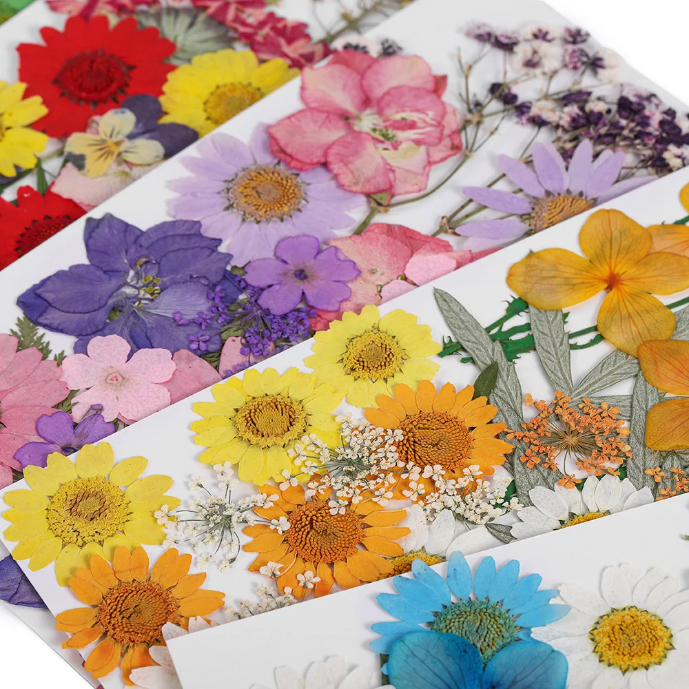 

1pcs Real Dried Flower Dry Plants For Aromatherapy Candle Epoxy Resin Pendant Necklace Jewelry Making Craft DIY Accessories