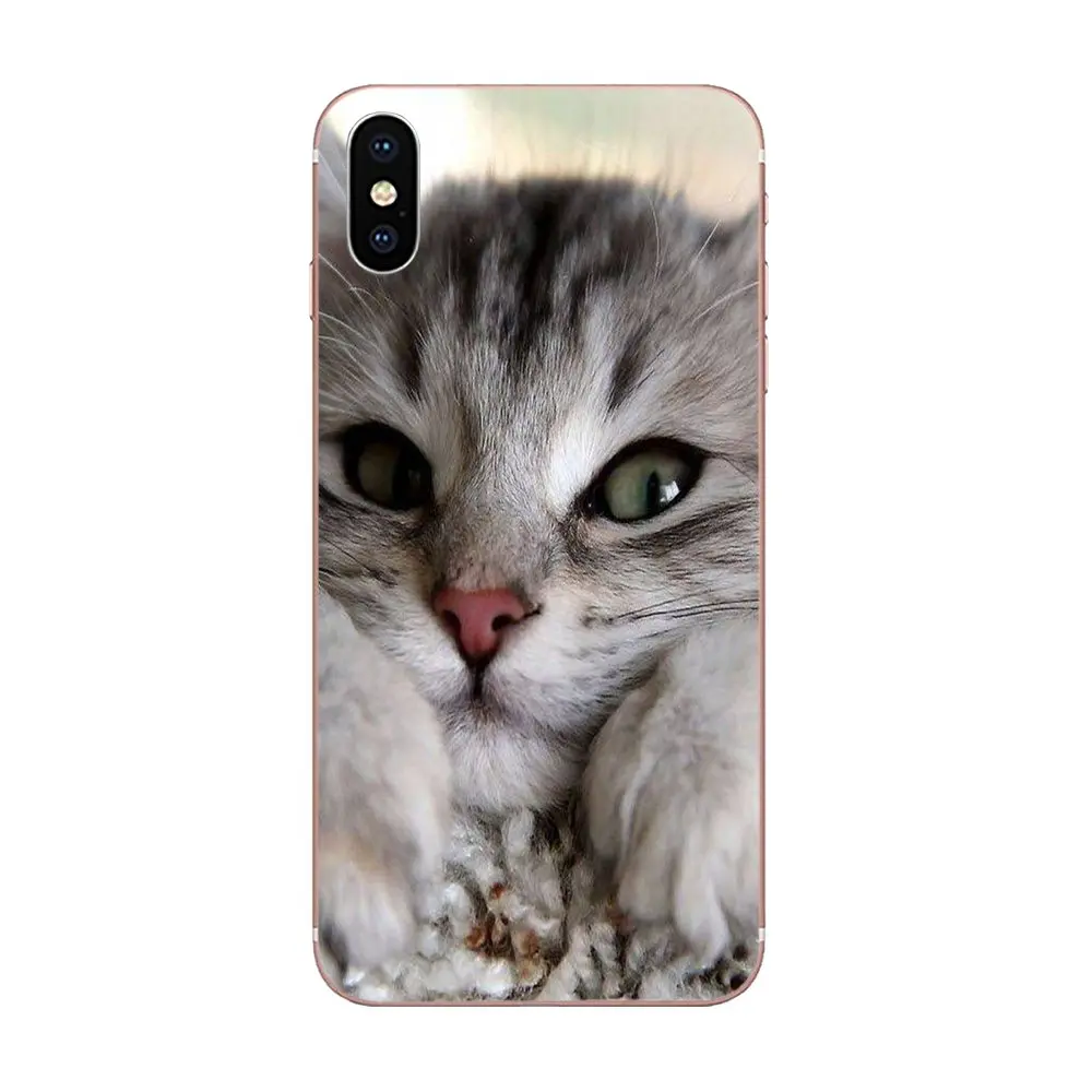 Soft TPU Fashion For iPhone SE2020 11 Plus Pro X XS Max XR 8 7 6S SE 4S 5 5C 5S Print Cute Melancholy Kitten | Мобильные телефоны и