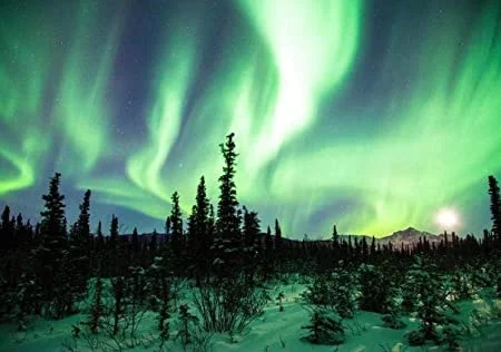 

Northern Lights or Aurora Borealis Alaska Metal Tin Signs Movies Vintage Home Decor for Outside Decoration 8x12 Inches