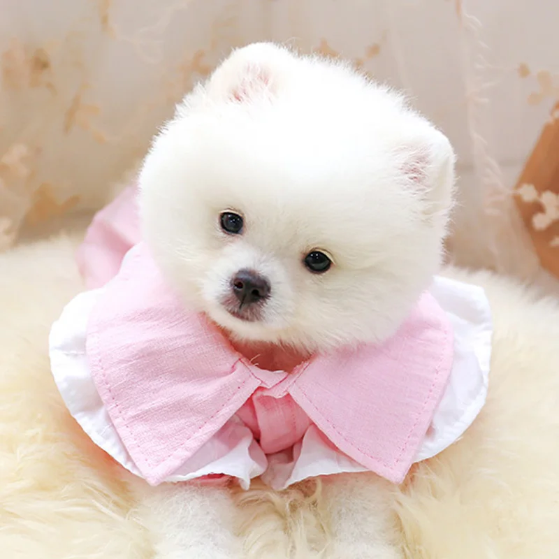 PETCIRCLE/Одежда для собак и щенков Платье принцессы Алиса Милое весенне-летнее