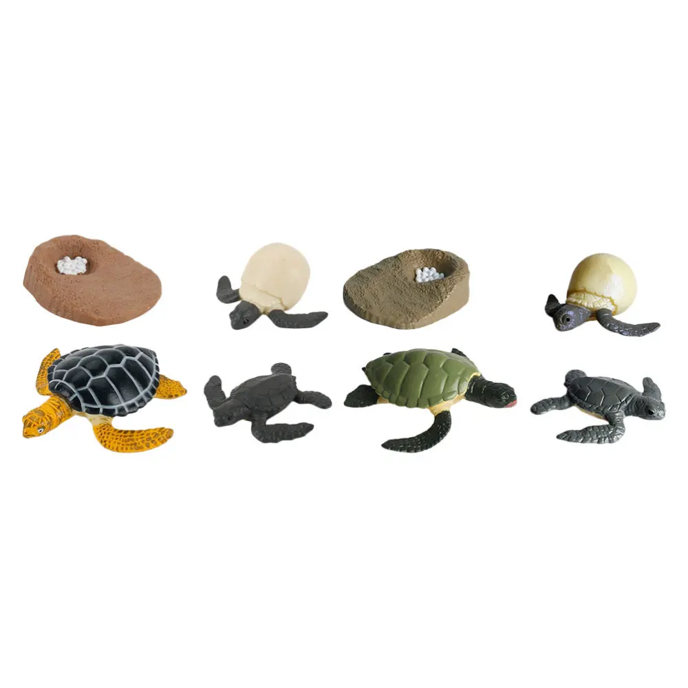 

2 Sets/8pcs Sea Turtle Growth Cycle Model Kid Educational Cognitive Model