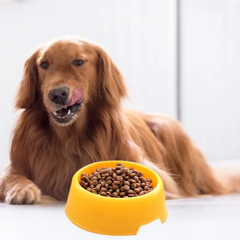 Поилка для собак, кошек, конфетных цветов, Нетоксичная пластиковая миска для питья, прочные миски для котенка, щенка, посуда, аксессуары для домашних животных