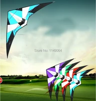 free shipping high quality large 2 7m storm dual line stunt kite with handle line outdoor toys albatross kites flying hcxkite