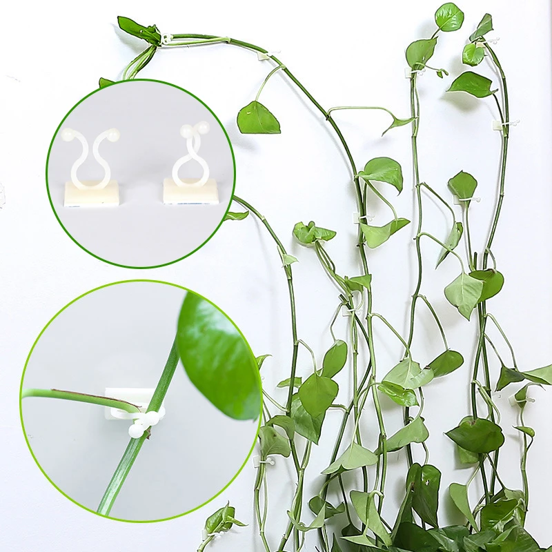 

10PCS Plastic Wall Sticky Hook Plant Clip Rattan Clamp Greenhouse Bracket White Green Plants Holder Climbing Invisible Wall Vine