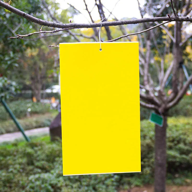 

20 Pcs Dual-Sided Yellow PVC Sticky Traps Flying Plant Insect Trap for Fungus Whiteflies C44