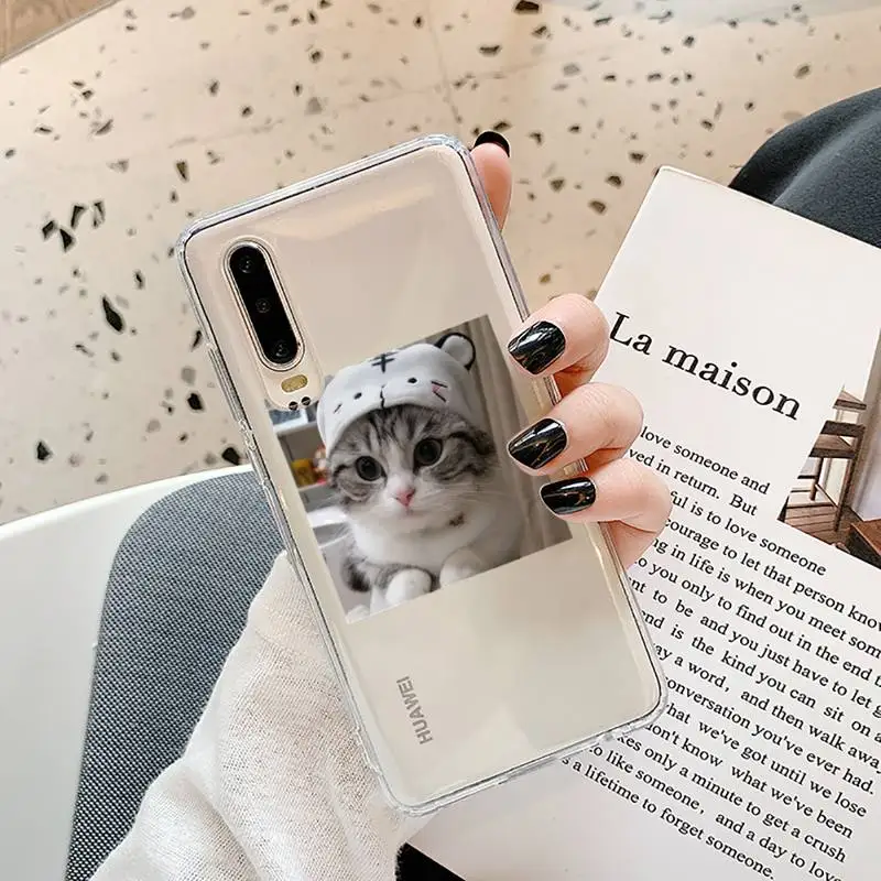 

Cute Cats New Year Gifts Phone Case Transparent for Samsung A71 S9 10 20 HUAWEI p30 40 honor 10i 8x xiaomi note 8 Pro 10t 11
