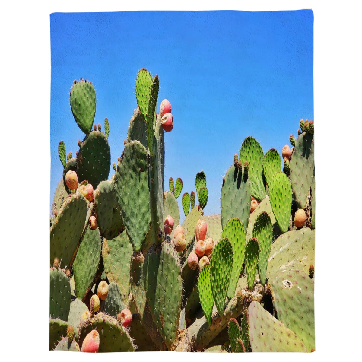 Утолщенное фланелевое одеяло с изображением кактуса и растений домашний
