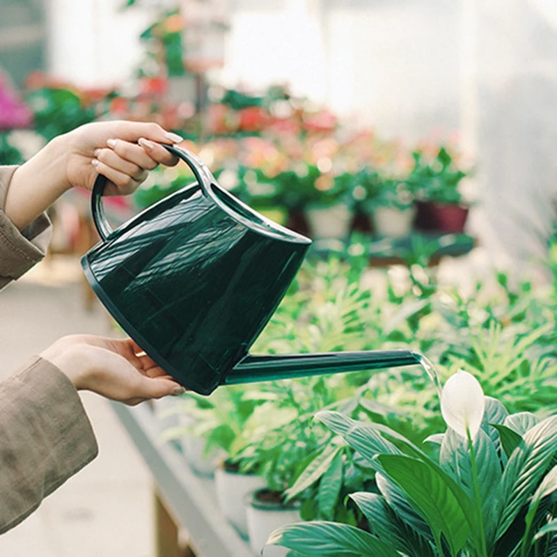 

Watering Can Gardening Watering Can Watering Can Household Watering Can Long Mouth Watering Can Pot Watering Can
