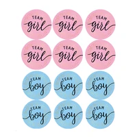 60pcs gender reveal stickers for party invitations voting games team boy girl labels for baby showers diy party supplies