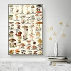 Постер на холсте с изображением ядовитых грибов