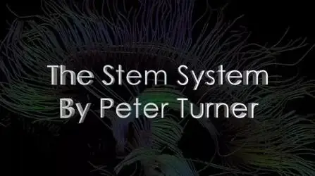 

the S.t.e.m. System by Peter Turner 1-2 - Magic Tricks