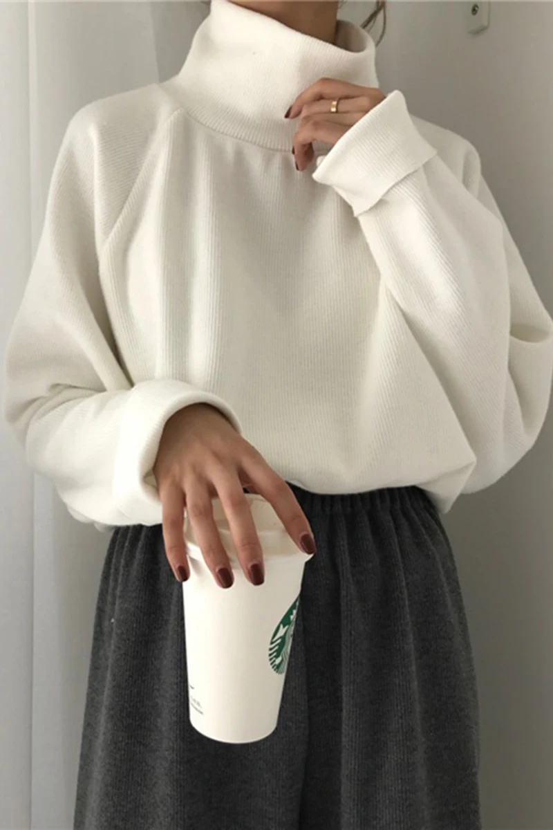 

Autumn New Women Sweater Casual Loose Turtleneck Knitted Jumpers 2019 Long Batwing Sleeve Crocheted Pullovers Streetwear Winter