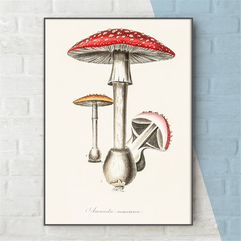 

Vintage Amanita muscaria Mushroom Painting Posters Wall Art Canvas Pictures Cuadros for Dining Room Home Decor Unframed