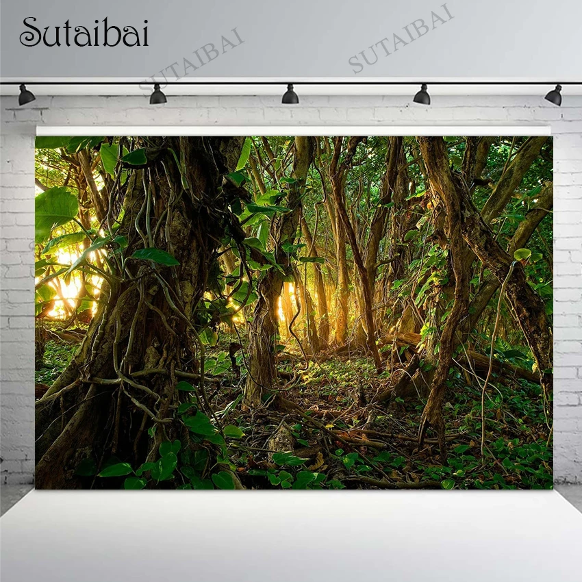 

Tropical Rainforest Jungle Forest Trees Backdrops for Photography Booth Green Leaves Spring Backdrop Portrait Background Photos