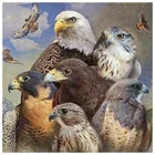 5D алмазная живопись сделай сам, картина с полными квадратнымикруглыми стразами, 3D Стразы с изображением животного, орла, вышивка крестиком, подарок для дома