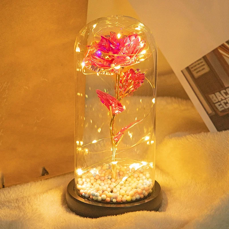 

Flower with LED Light in Glass for Christmas Valentine's Day Mother's Day Gifts for Girlfriend Wife Women