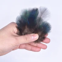 200pcslot colored blue peacock feathers for decoration 1 33 8cm diy craft handicraft accessories peacock feather decor plumas