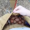 Изображение товара 1