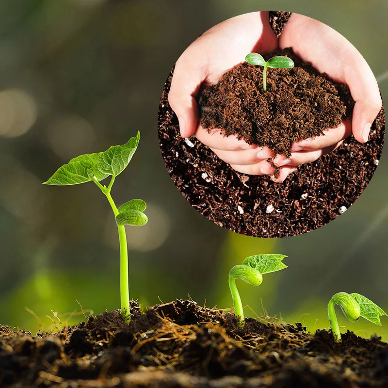 10 шт. 30 мм садовые цветы посадка торфяных гранул|Детские горшки| |