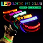 Нейлоновый светодиодный светящийся флуоресцентный ошейник для домашних животных