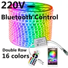 Двухрядная светодиодная RGB лента 220 В с ИК-управлением, 120 светодиодов на метр, 5050 светодиодов на метр, 24 клавиши, водонепроницаемая уличная декоративная лампа IP67