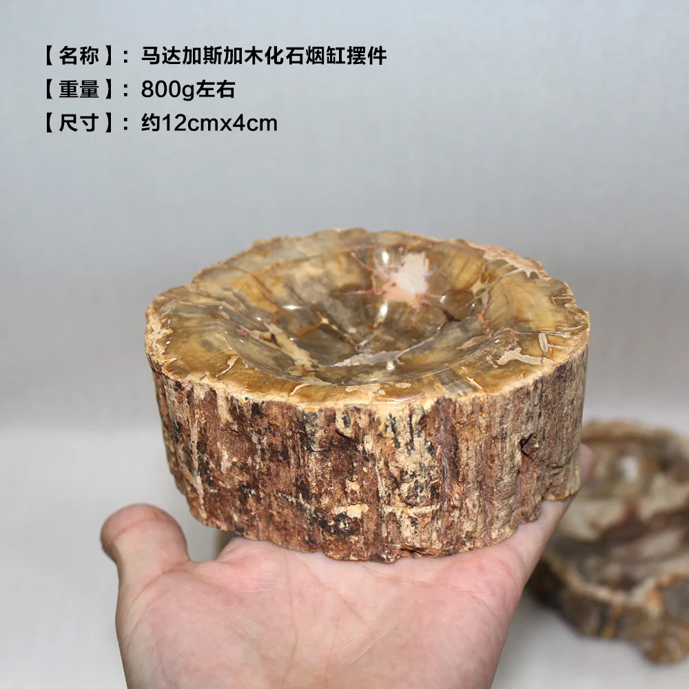 Runyangshi 1pc Beautiful natural wood fossil hand carved polished ashtray | Дом и сад